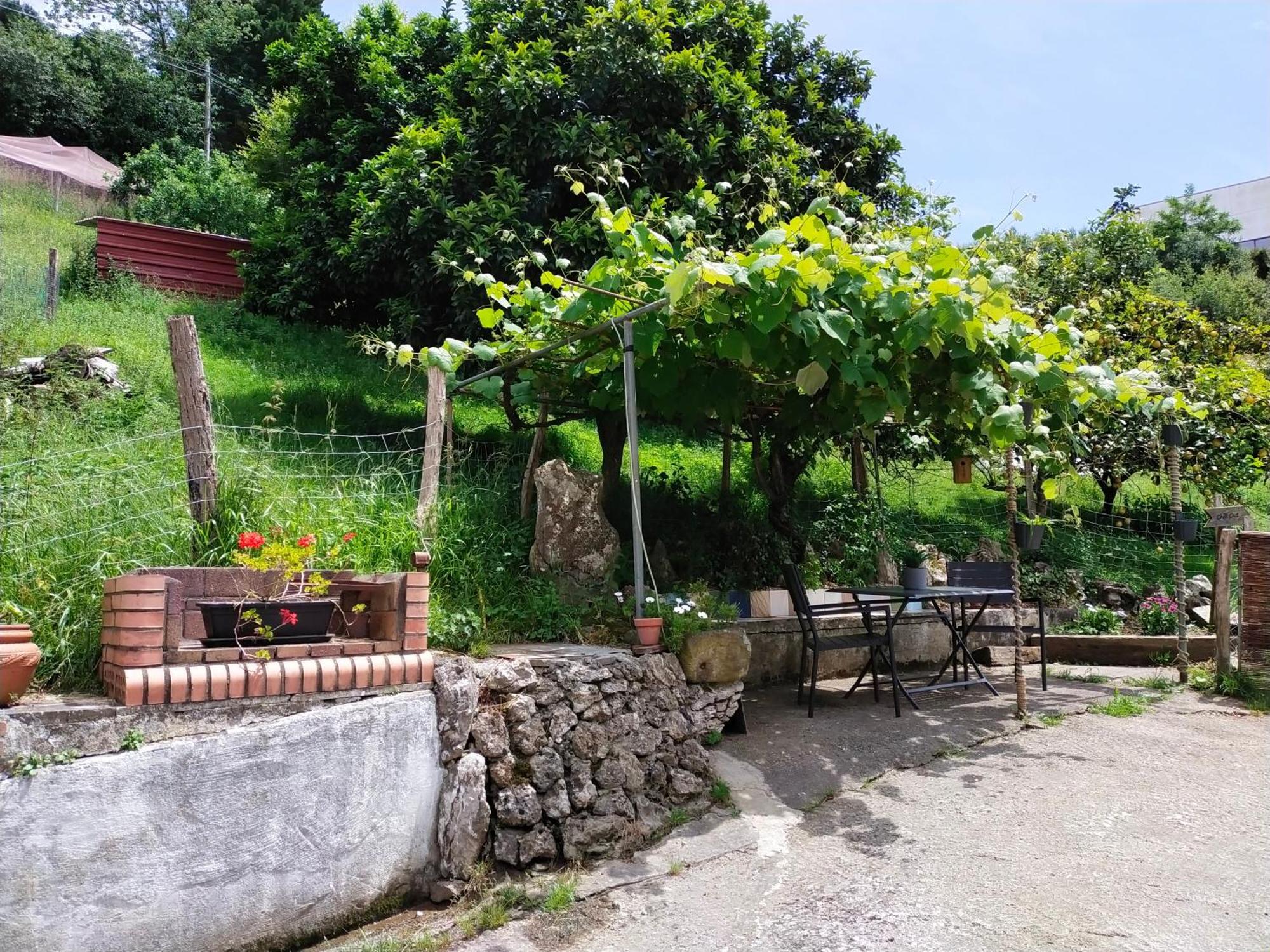 Ferienwohnung Antzomendi Mutriku Exterior foto
